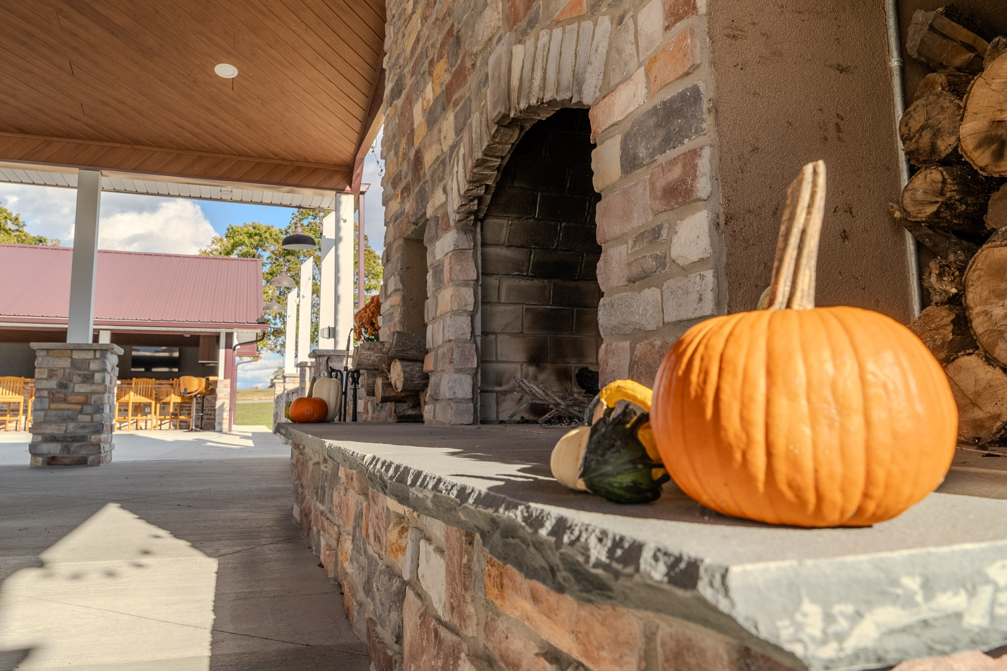 24.10.15OutsideThePPBFarm 20