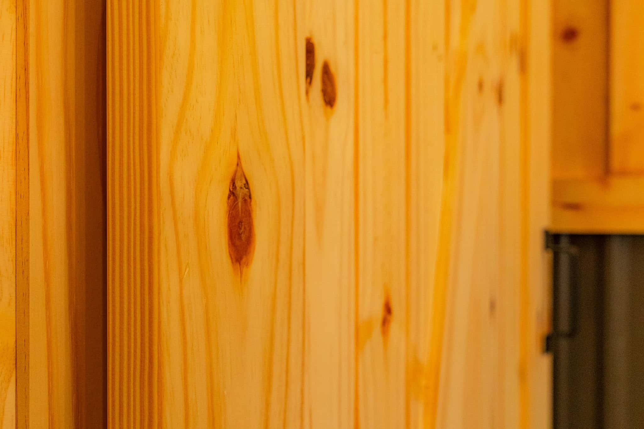 25.06.24PBCSavoia399184 08