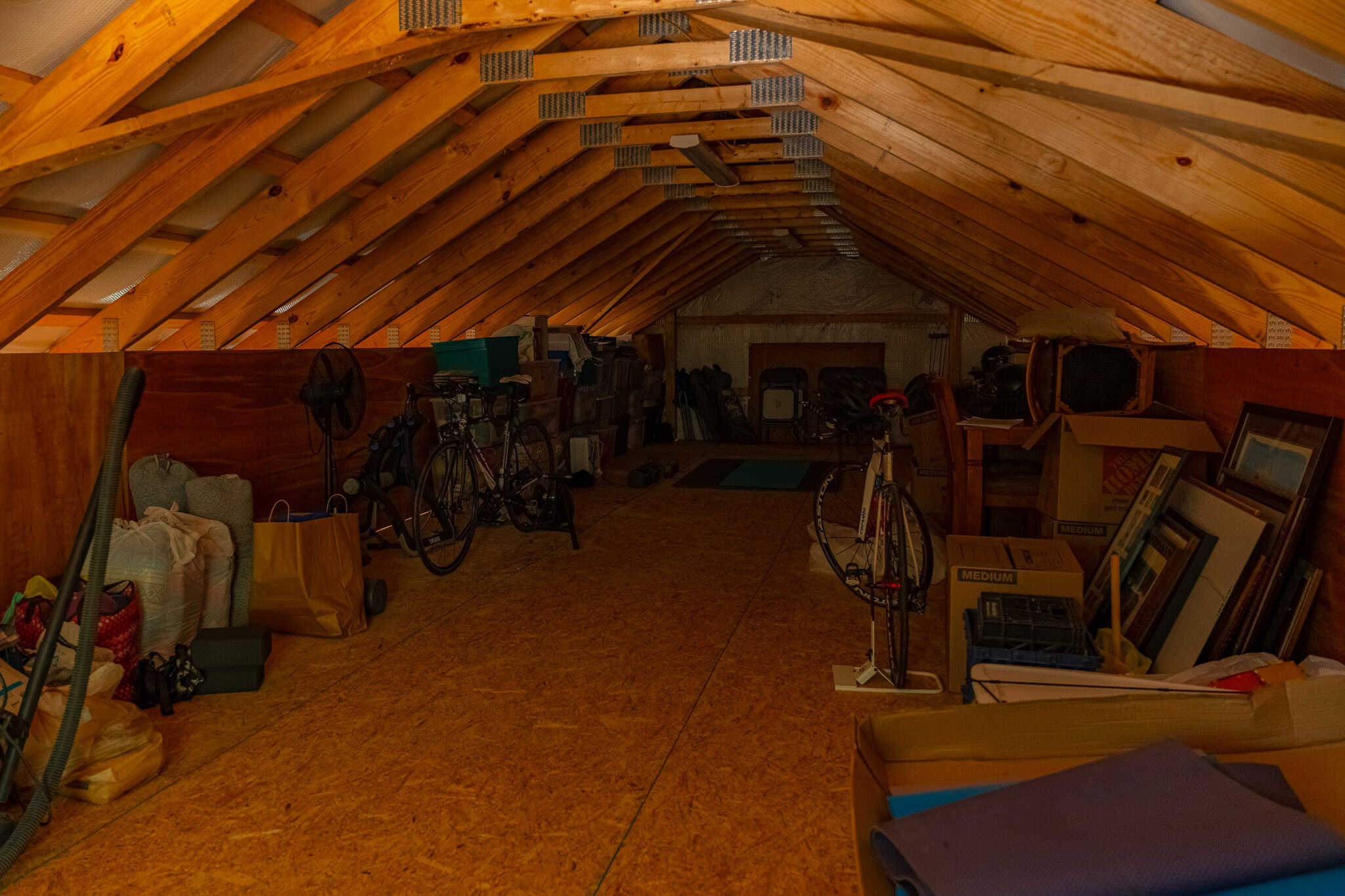 25.06.24PBCSavoia399184 43