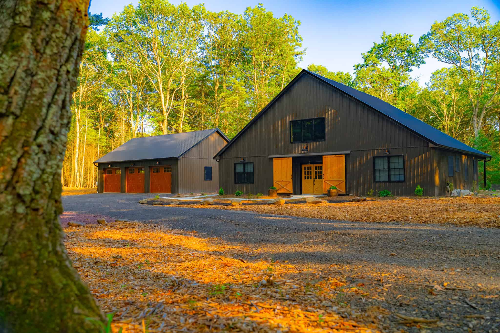 25.06.24PBCSavoia399184 62