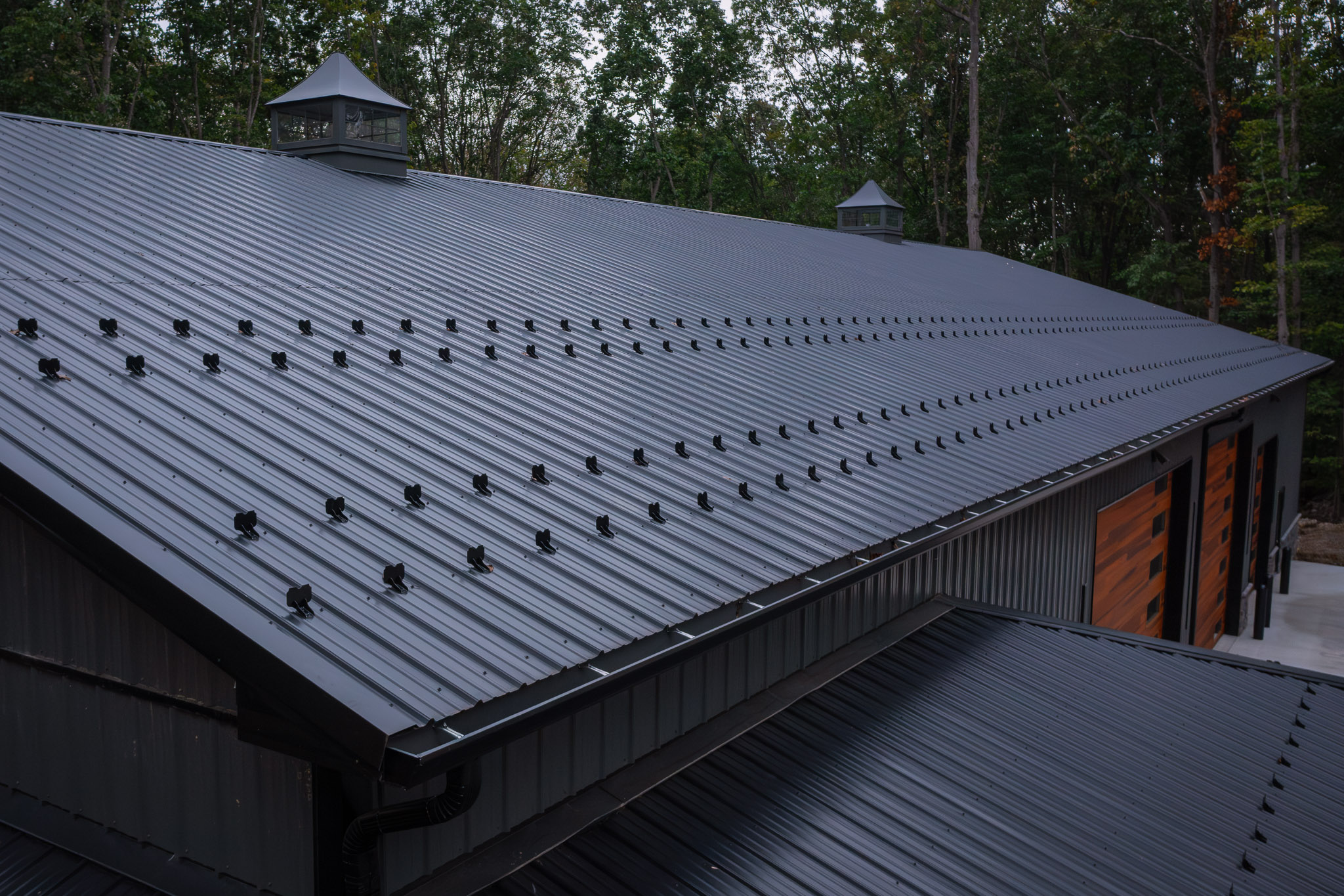 25.09.30PPBMackrell408659 13