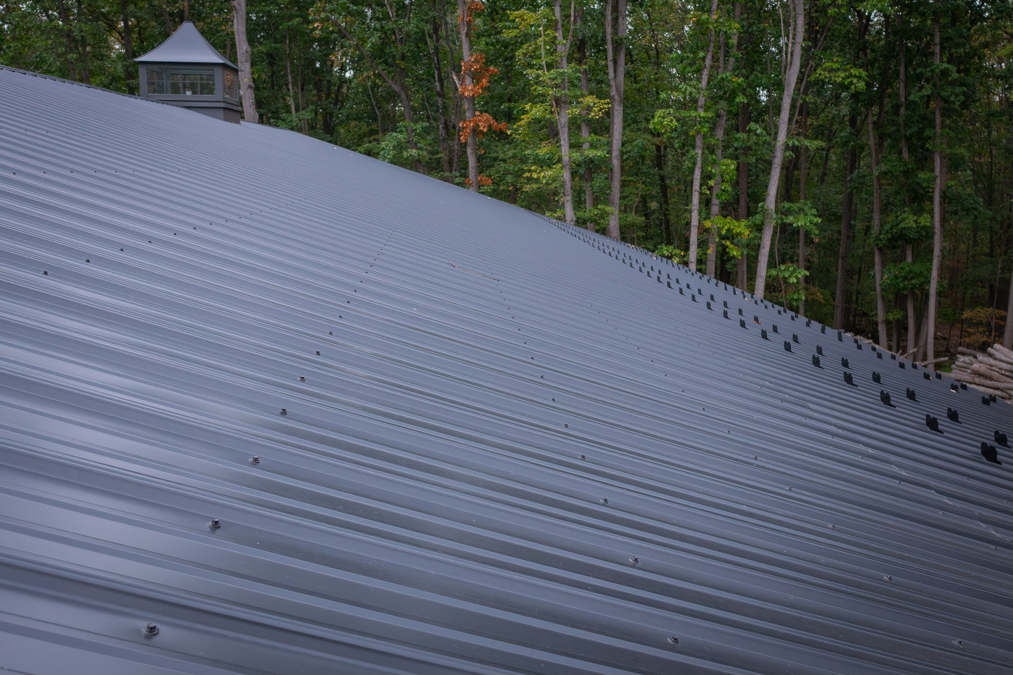 25.09.30PPBMackrell408659 14