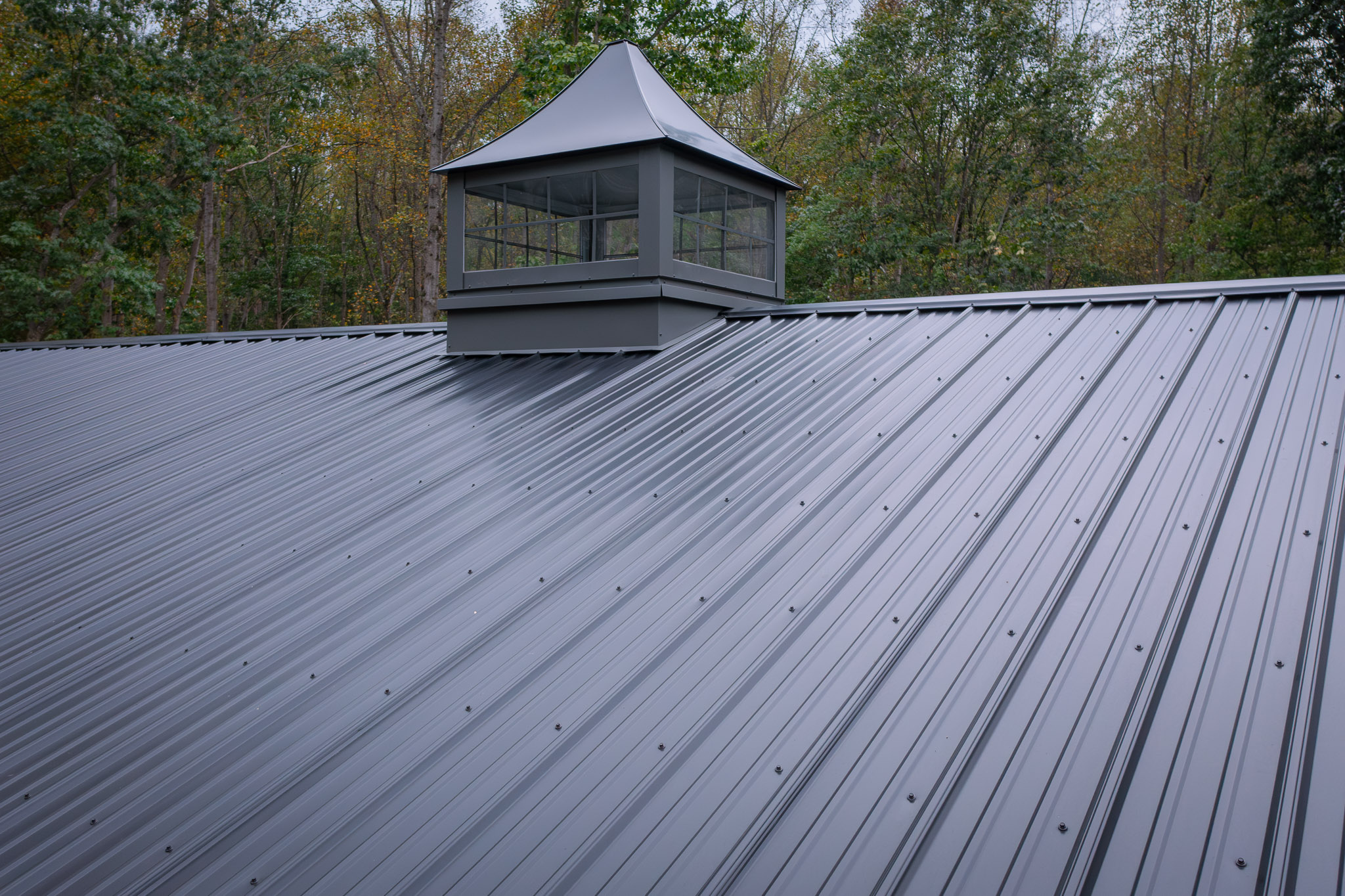 25.09.30PPBMackrell408659 17