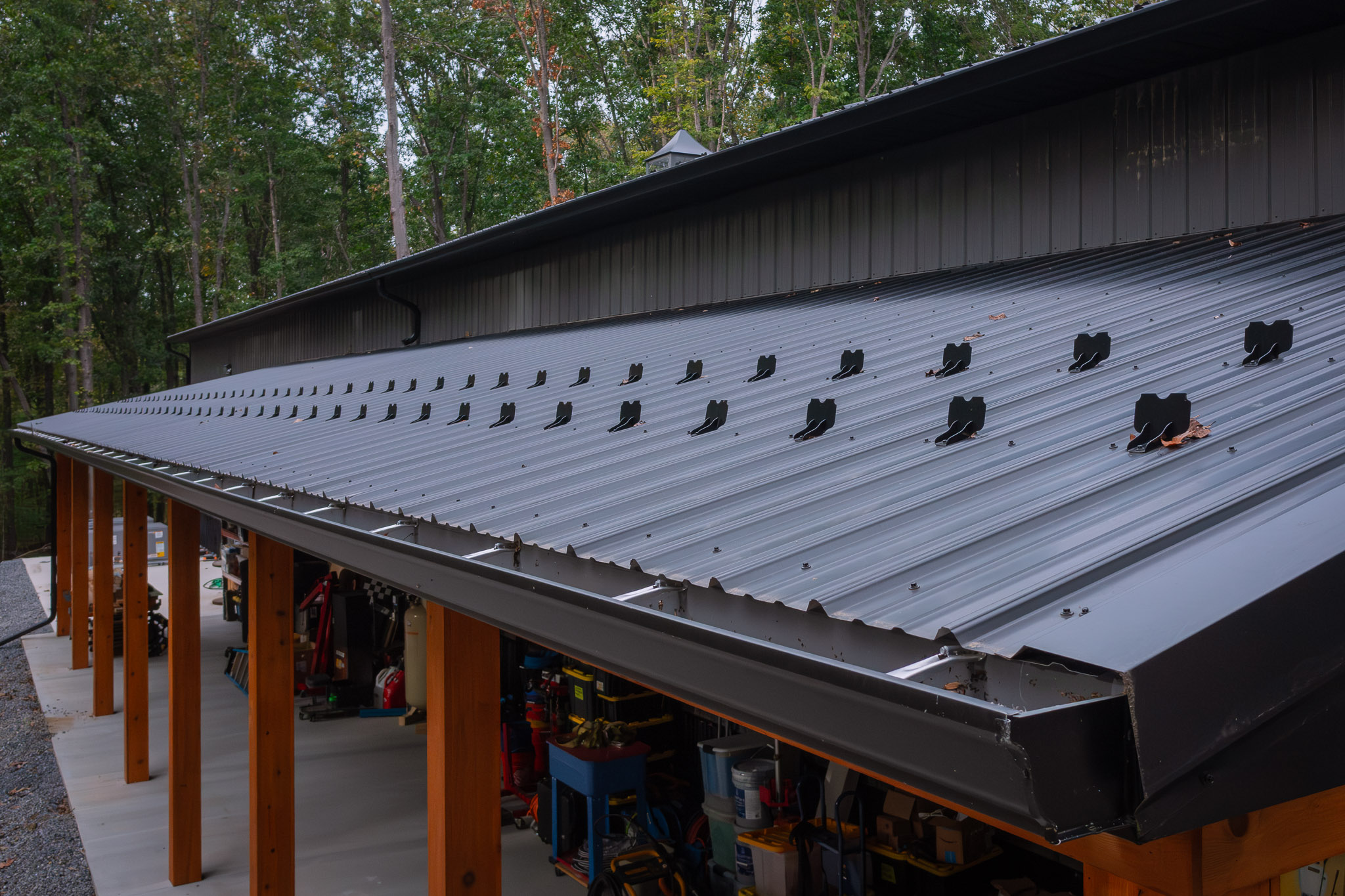 25.09.30PPBMackrell408659 56