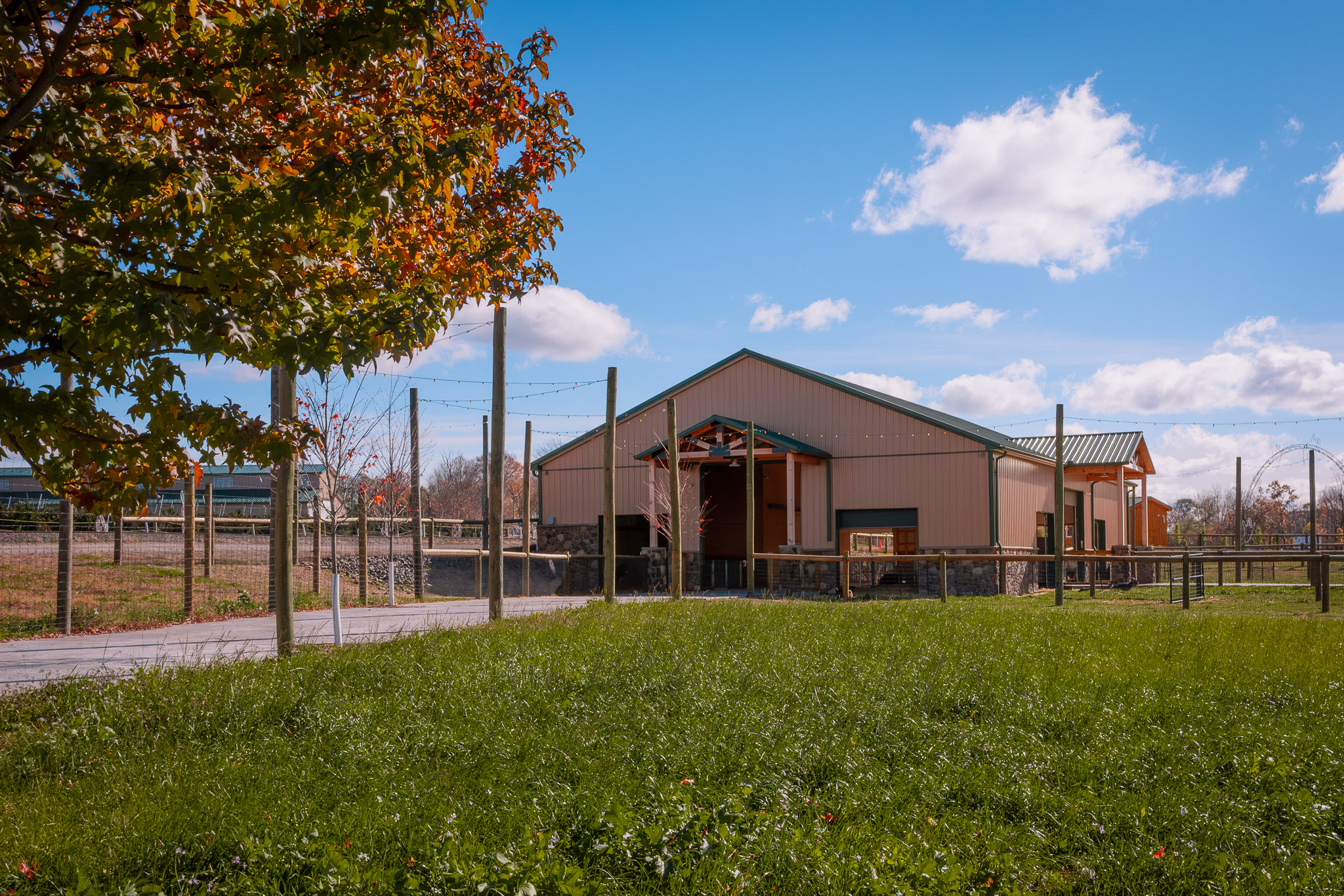 Ivy Green Garage Doors on Agricultural Building