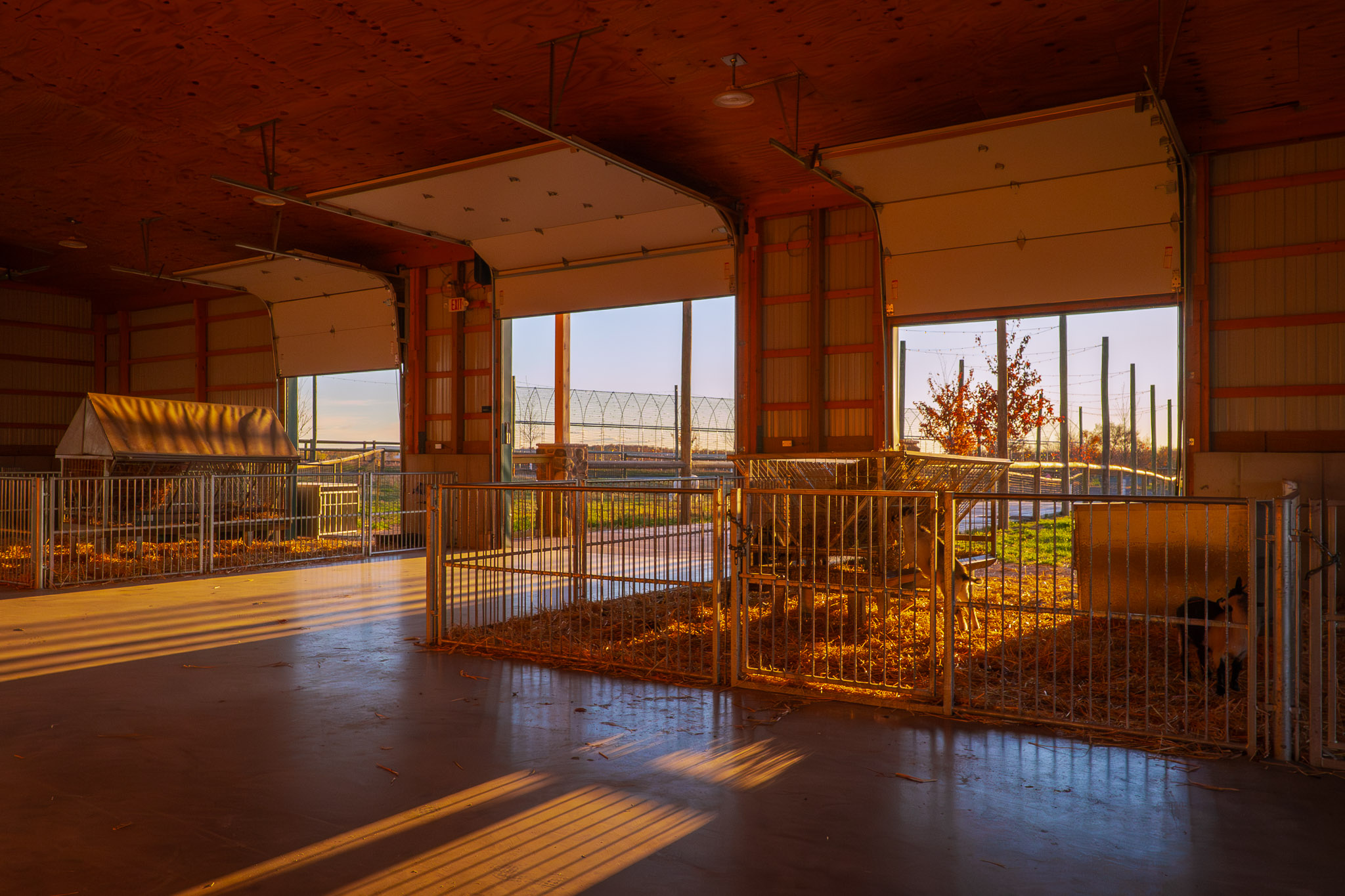 Interior Agricultural Building with Open Floor Space