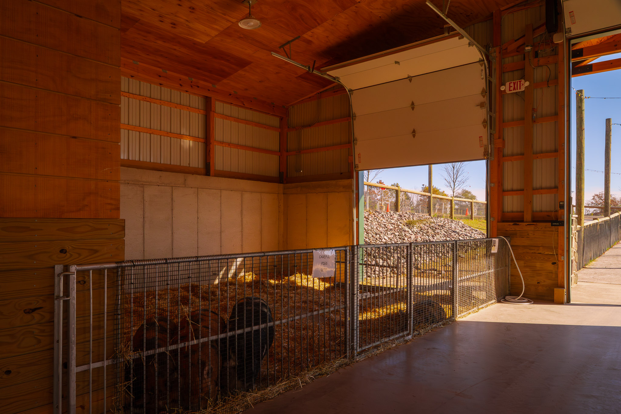 Agricultural Facility Interior With Trusses and Lighting Prep