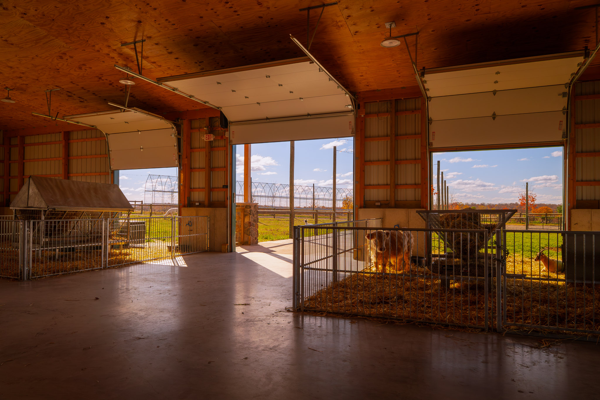 Interior of Agricultural Building With Concrete Floor