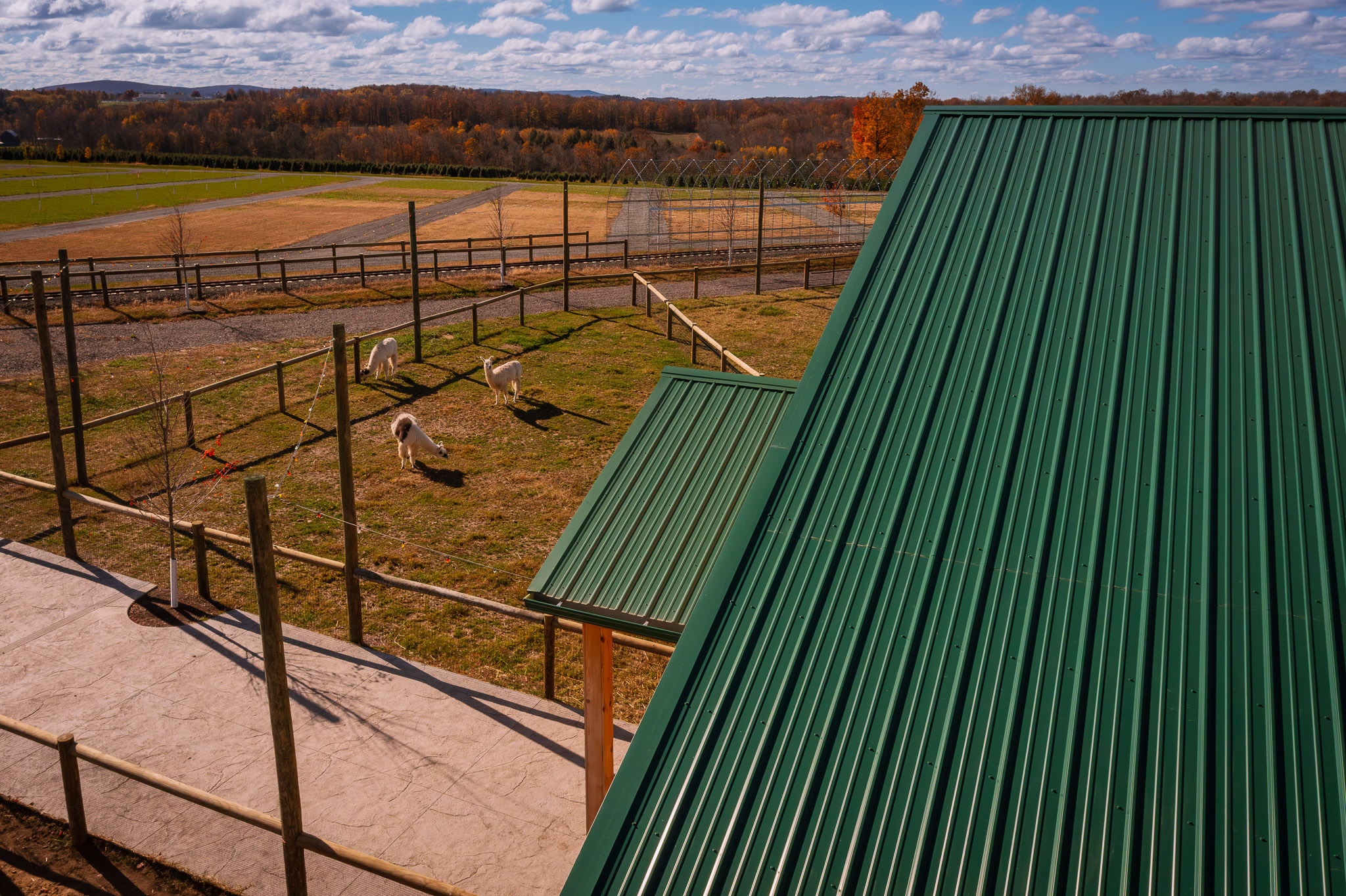 Close-Up View of Ivy Green Frontier Panel Roof